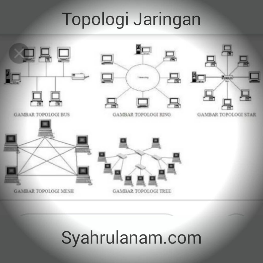 topologi jaringan